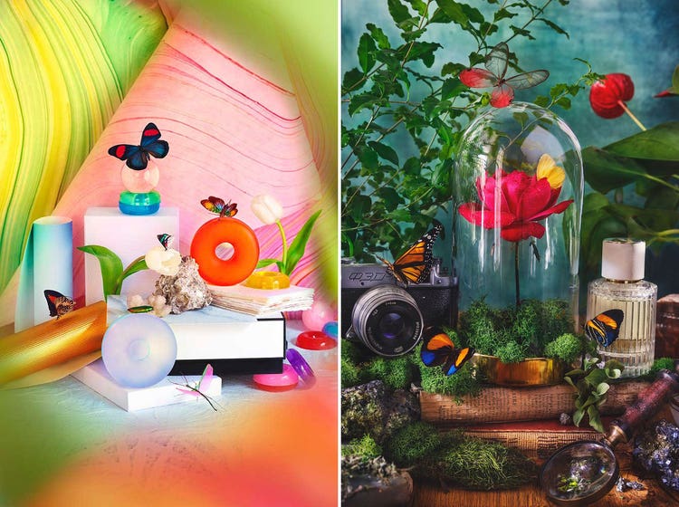 Two stylized and beautifully colorful photographic still lifes. On the left against a pink and Kelly green background are butterflies and circular, colored shapes of glass. On the right is a red rose underneath a glass dome. It's surrounded by greenery and butterflies and alongside it are a camera (left) and a perfume bottle (right).