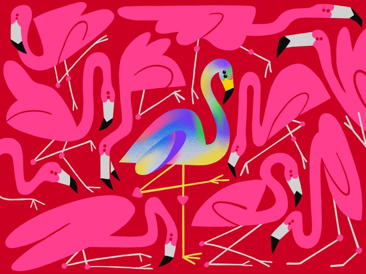 An illustration of pink flamingos in various positions on a red background. At the center is a rainbow-colored flamingo with heart-shaped joints.