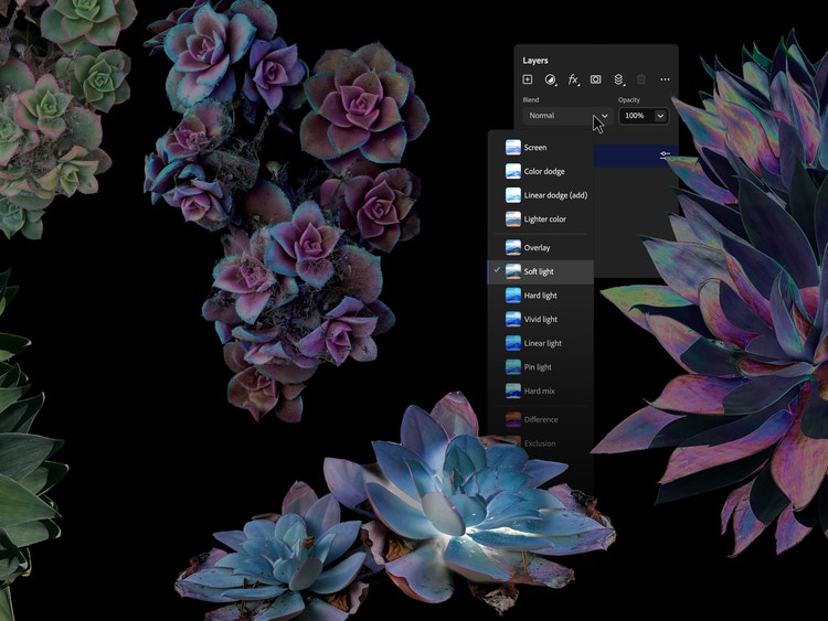 The Adobe Photoshop editing interface with various layers and blending options displayed against a background of multiple, colorful succulent plants arranged artistically. The Layers panel is open, showing different blending modes such as Screen, Color dodge, Linear dodge (add), Light color, Overlay, Soft light, Hard light, Vivid light, Linear light, Pin light, Hard mix, Difference, and Exclusion.