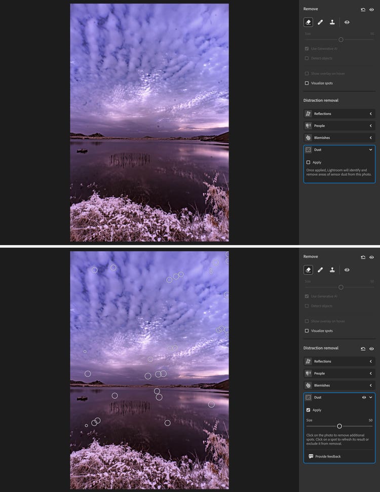 Two images stacked. Each shows a screenshot from Adobe Lightroom with an image of a purple-toned sky reflected in a calm lake. The top image displays the original photo with visible dust spots, while the bottom image shows the same photo with markers indicating areas selected for removal. A panel on the right lists distraction removal options such as reflections, people, and dust, with "dust" selected.