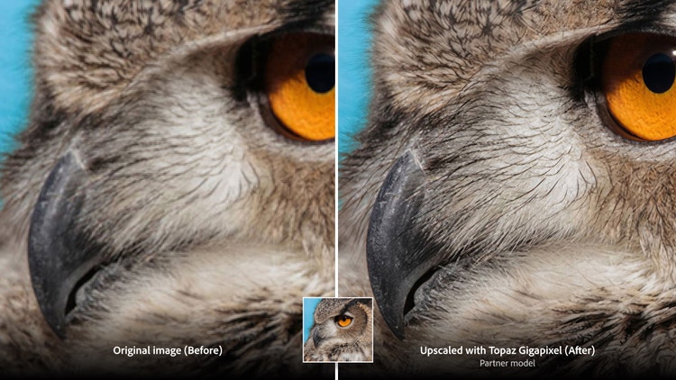 Close-up of an owl’s face shown in a side-by-side comparison. The original image on the left has softer details, while the image on the right, upscaled using Topaz Gigapixel, reveals sharper feather textures and a vivid orange eye. Text labels read (from left): Original image (Before) and Upscaled with Topaz Gigapixel (After).