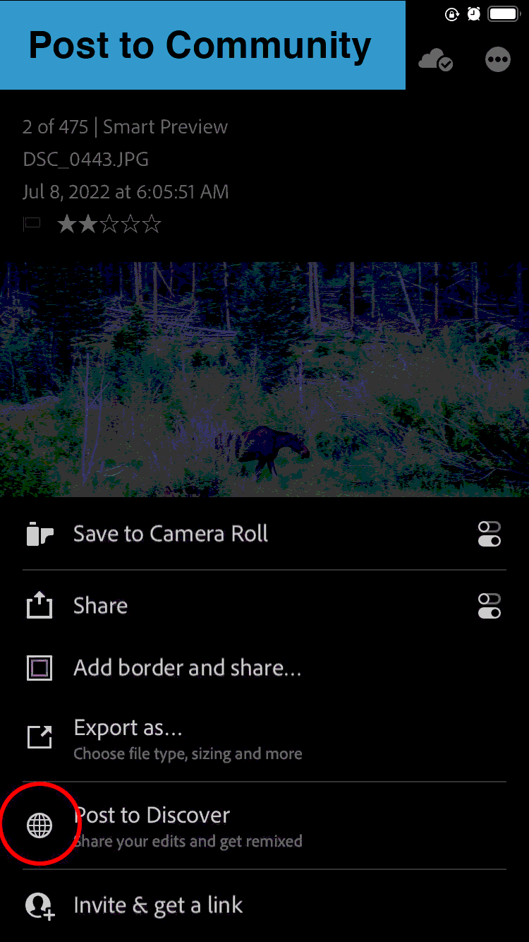 A GIF of a mobile phone screen transitioning between a gallery of images, a selected image, an information screen, and export options.