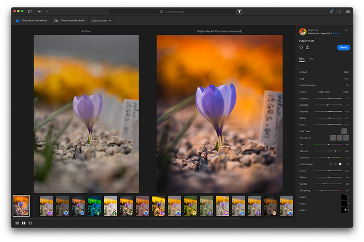 A screenshot of Lightroom's Discover screen with two large copies of the same image (a tulip emerging from rocky soil) taking up most of the screen. To the right is information about the image on the right and underneath both images are 17 additional thumbnail-sized variations.