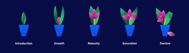 An illustration of five potted plants in various stages of growth on navy blue background. From left: 1. A blue pot with only green leaves above the word Introduction; 2. A blue pot with green leaves and pink flower emerging above the word Growth; 3. A blue pot with green leaves behind a young pink flower above the word Maturity; 4. A blue pot with green leaves behind a pink flower with visible pollen above the word Saturation; 5. A blue pot with green leaves behind a drooping pink flower with visible pollen, and a fallen petal, above the word Decline.