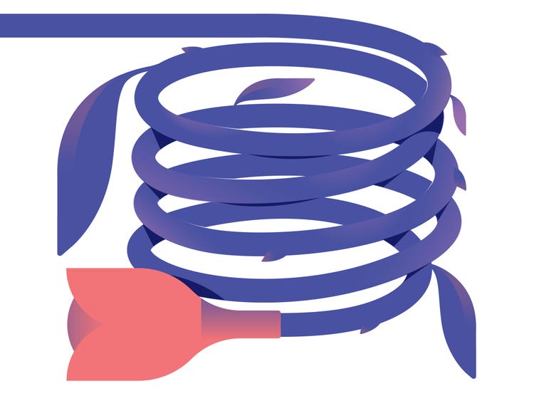 A stylized illustration of a partially-open brick red-to-purple gradient tulip, with a long purple stem with purple leaves, coiled into a spiral, on a white background.