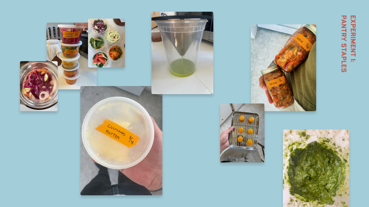 A photographic collage of various pickles, cultured butter, salt-cured egg yolks, kimchi, and pesto on a light blue background.