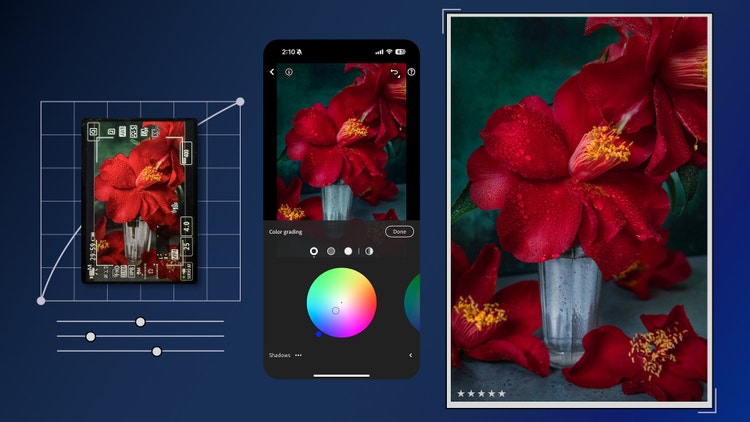 The Adobe Lightroom for mobile interface displaying an image of red flowers in a vase, an editing interface with options such as "Color grading" and a color wheel for adjusting the hue, saturation, and brightness, and a graph-like background with sliders indicating adjustments to the image settings.